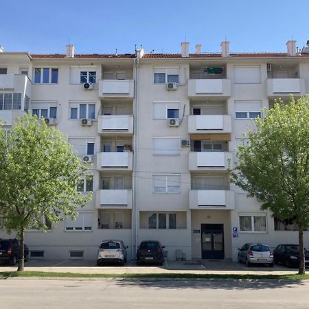 Apartman Senjak Pirot Extérieur photo